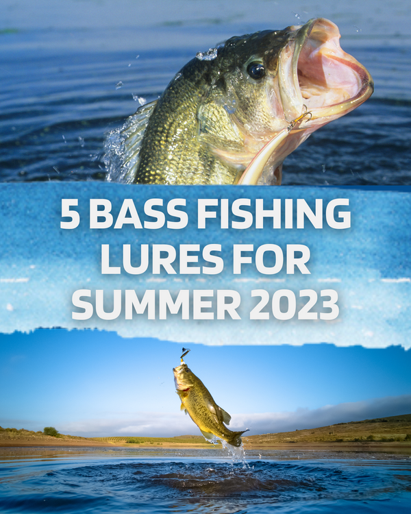 5 Best Lures For Bass Fishing In Summer 2023 | Best Life Reviews