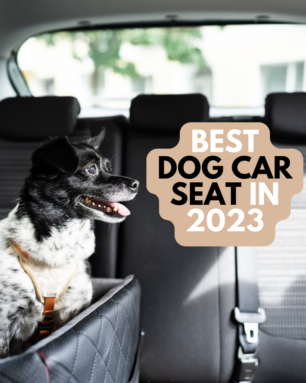 5 Best Car Beds for Dogs in 2023