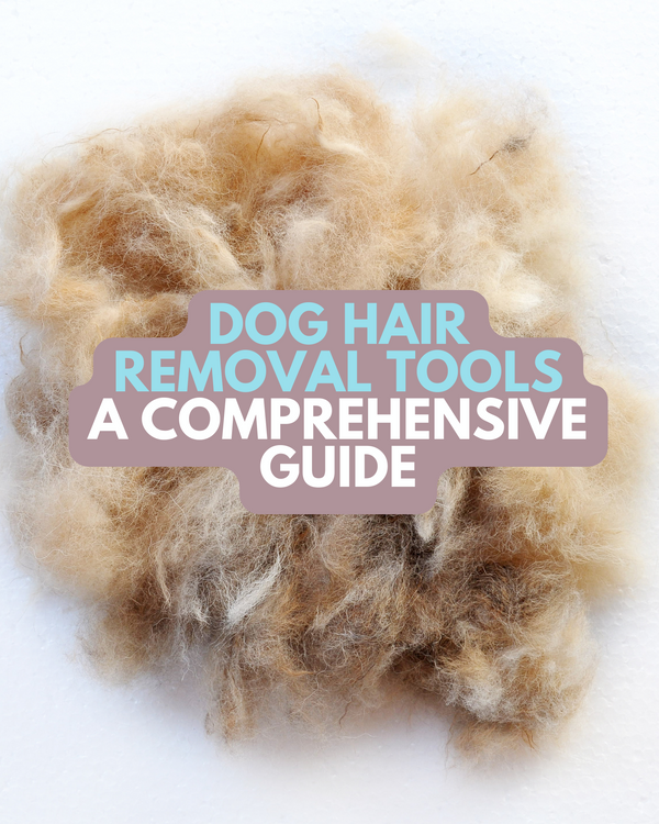 6 Best Dog Hair Removal Tools of 2023: A Comprehensive Guide